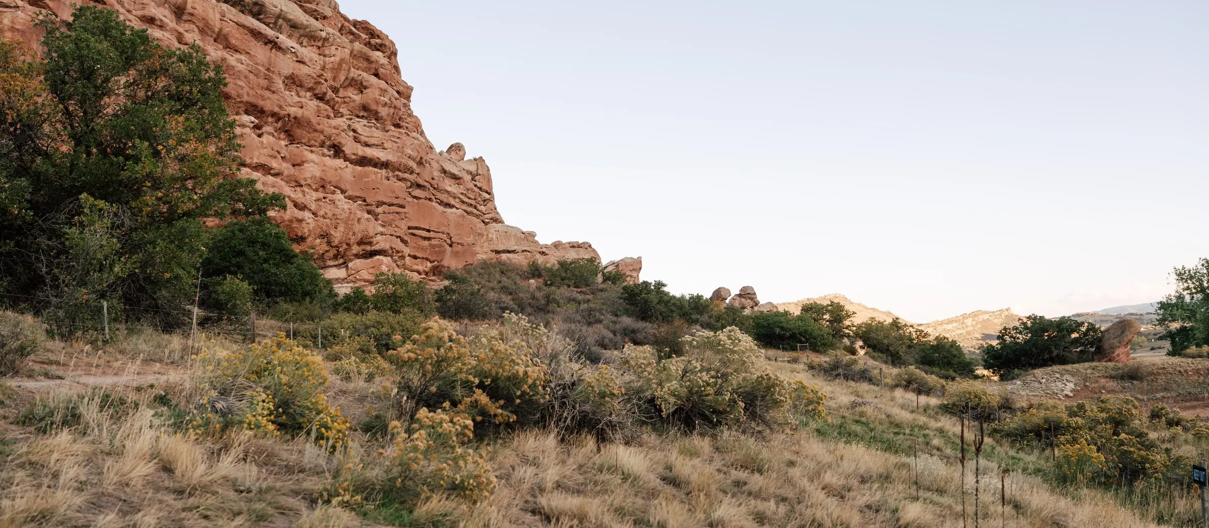 Golden grass and shrubs below a tall red rock cliff under open sky
